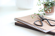 Neutral Collection | Styled Stock, a Business Photo by Chalking Up Stock (Thumbnail 9 of 25)