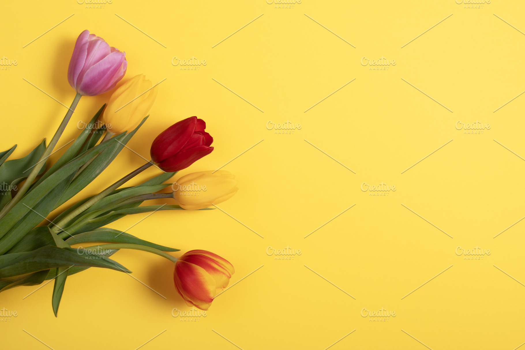 Bouquet of vibrant tulips in red, yellow, and pink arranged on a, a Holiday Photo by Ales Munt