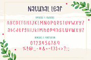 Natural Leaf | Decorative Font, a Handwritten Font by AnningArts (Thumbnail 7 of 7)