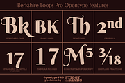 Berkshire Pro Family, a Font by Stiggy & Sands (Thumbnail 5 of 9)