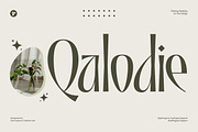 Qalodie - Elegant Modern Aesthetic, a Serif Font by roomspace creative lab (Thumbnail 1 of 13)