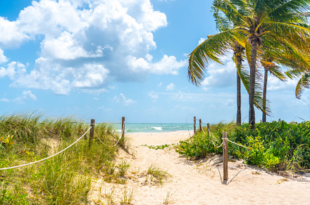 Sand Path going to the ocean, a Nature Photo by Maria Kray