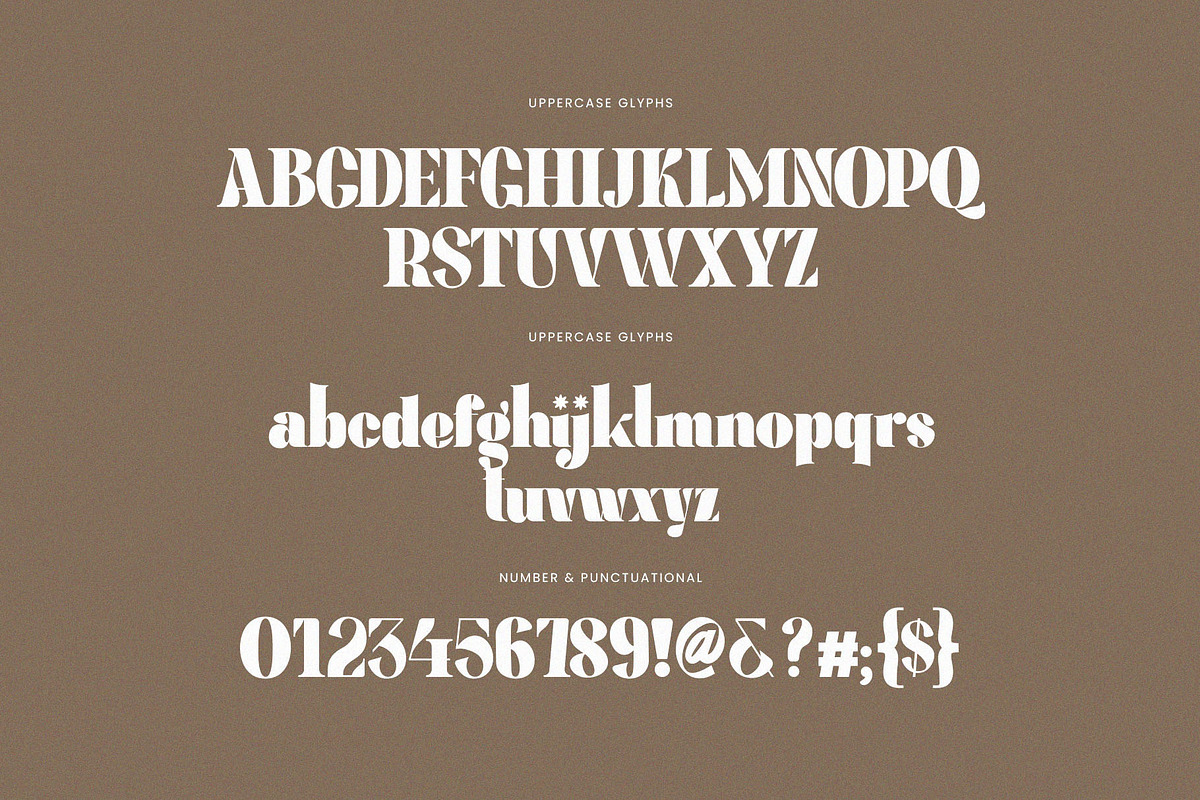 Megina Elegant Ligature Serif Font, a Serif Font by Perfectype (Photo 8 of 9)