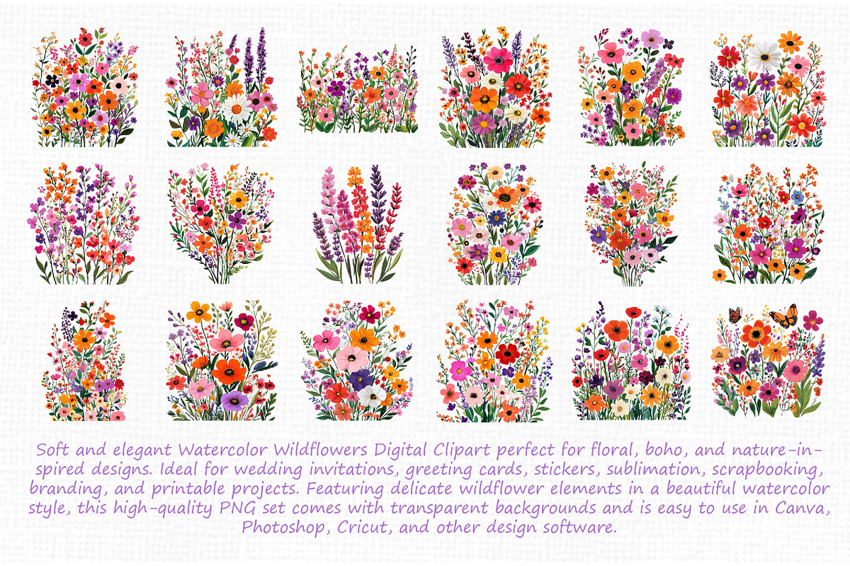Watercolor Wildflowers Digital Clipa, an Illustration by Libby Wishes (Photo 6 of 7)