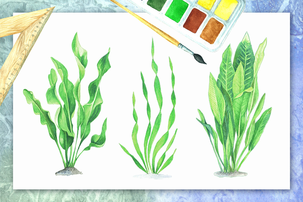 Watercolor tropical fish, an Illustration by Art Watercolor (Photo 7 of 8)