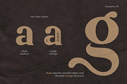 Ambigue Wild Modern x Vintage Serif, a Serif Font by Wandery Supply (Thumbnail 6 of 22)