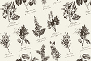10 Most Poisonous Plants. Vector set, a Healthcare Illustration by Yevheniia (Thumbnail 6 of 8)