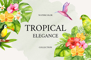 Tropical Elegance. Watercolors