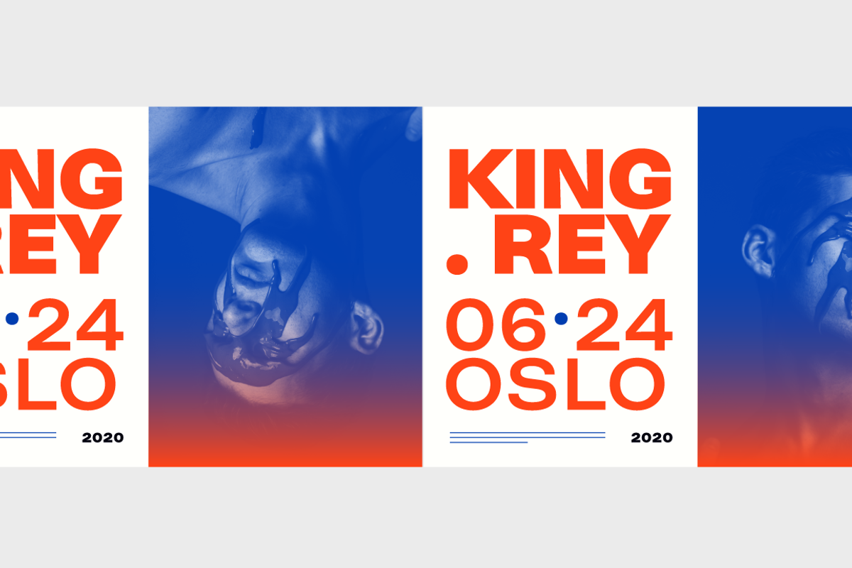 Neogrotesk, a Sans Serif Font by Los Andes Type (Photo 3 of 15)