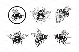 Charming set of bumble bee vector, an Animal Illustration by yod67
