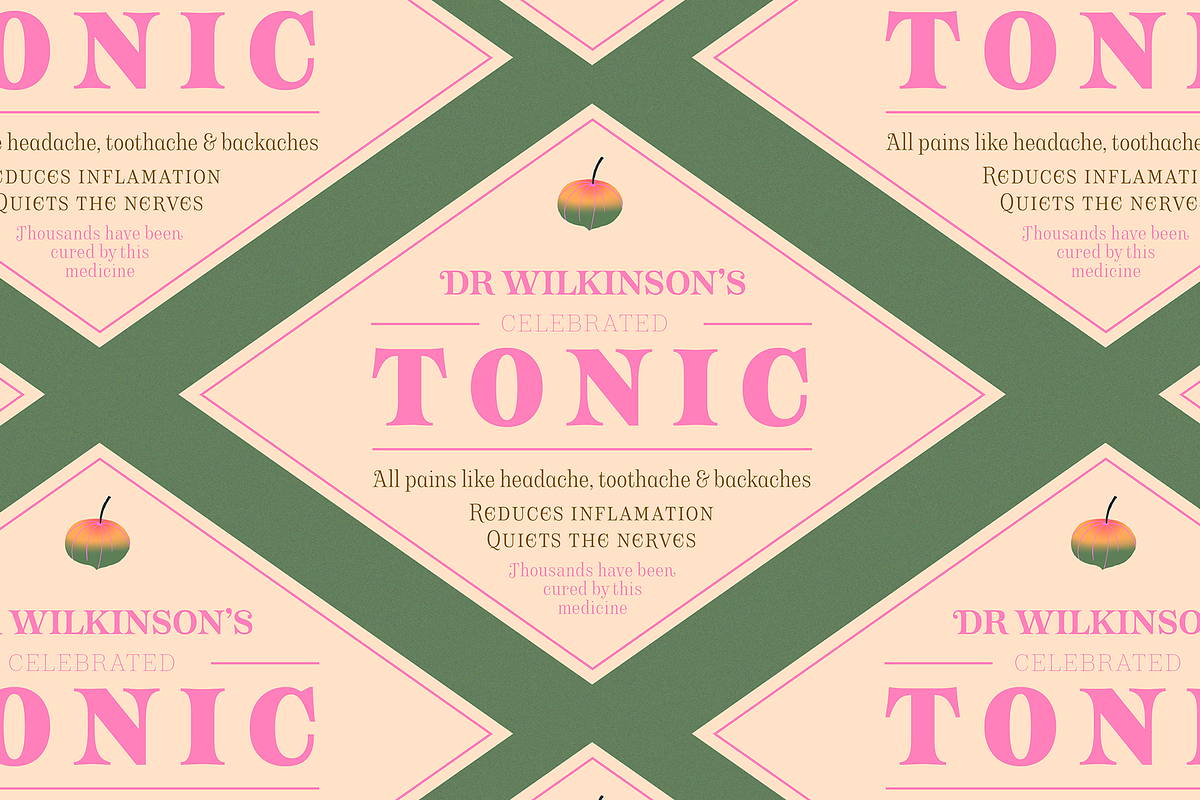 Apothicaire font, a Serif Font by Sudtipos (Photo 4 of 8)