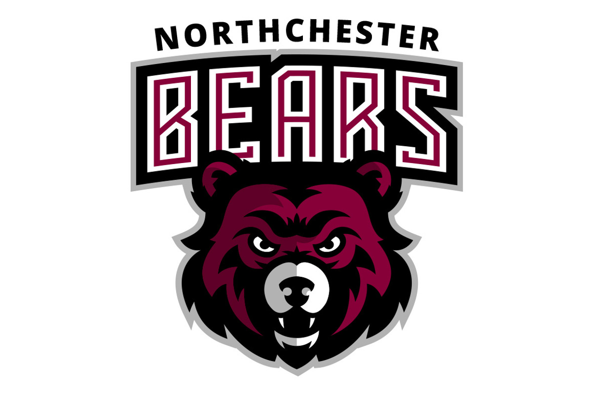 Bears logo, a Graphic by Varsity Logos (Photo 2 of 2)