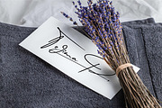 Bromeo Signature - Casual Font, a Script Font by Attractype (Thumbnail 8 of 12)