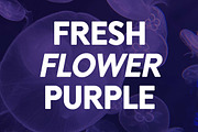 Vintage Groove Bold Family Font, a Sans Serif Font by UICreative (Thumbnail 2 of 13)