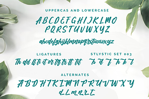 Adhellia - Bold Script Font