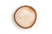 Rustic Wood Slice Vector Clipart Set, an Illustration by BIPLOB EXPERT (Thumbnail 4 of 13)