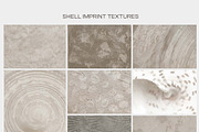 Shell Imprint textures, a Background Graphic by DigARTbyHavroshka (Thumbnail 10 of 12)