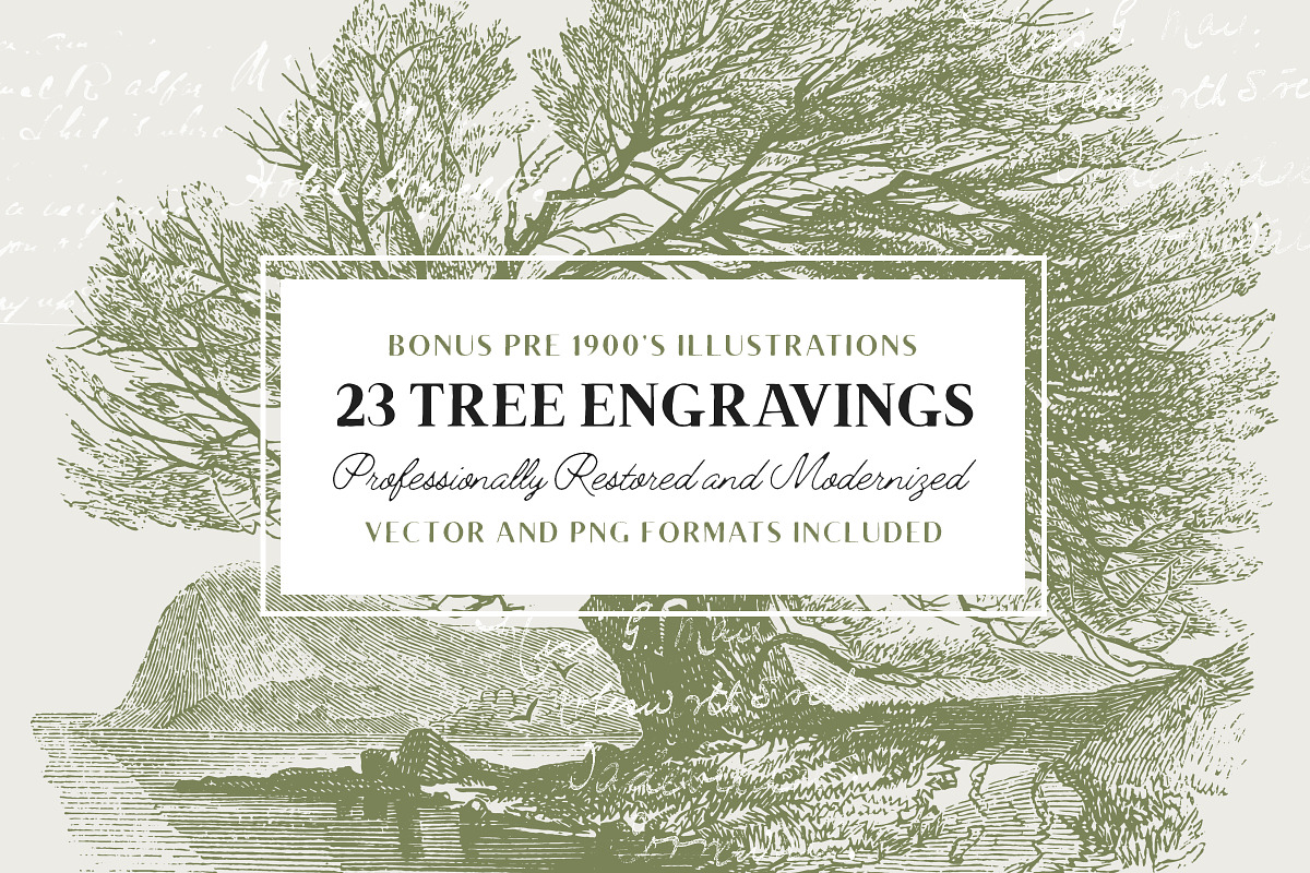 29 Branches, Twigs & Leaves (+Bonus), an Illustration by Century Library (Photo 3 of 8)