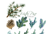 Pine Branches & Wreaths, an Illustration by Feather Grace Designs (Thumbnail 5 of 13)