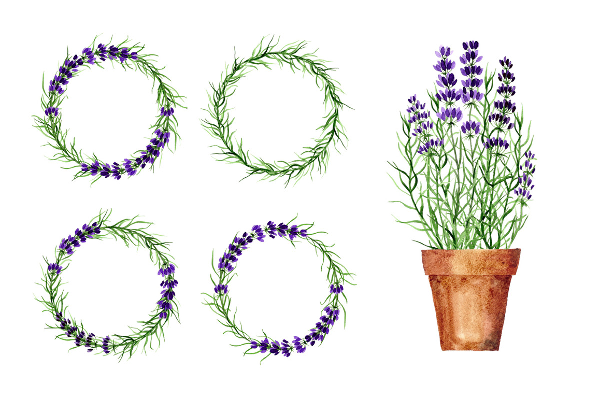 Lavender wreaths, alphabet, pattern, an Illustration by Floralis (Photo 5 of 6)