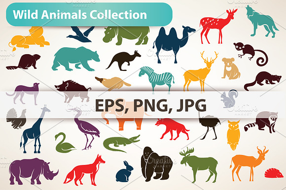 Big Collection Of Wild Animals