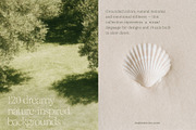 120 Calm Nature Texture Backgrounds, a Background Graphic by Make Stories Studio (Thumbnail 3 of 13)