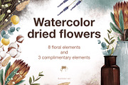 Watercolor dried flowers set, a Decorative Illustration by Maria Summer (Thumbnail 1 of 7)