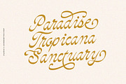 Calmias, a Handwritten Font by Typeskets (Thumbnail 3 of 9)