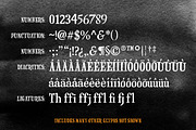 Haunted Serif, a Serif Font by eric.oliver703 (Thumbnail 3 of 6)
