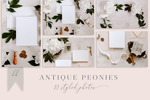 Styled Invitation Mockups