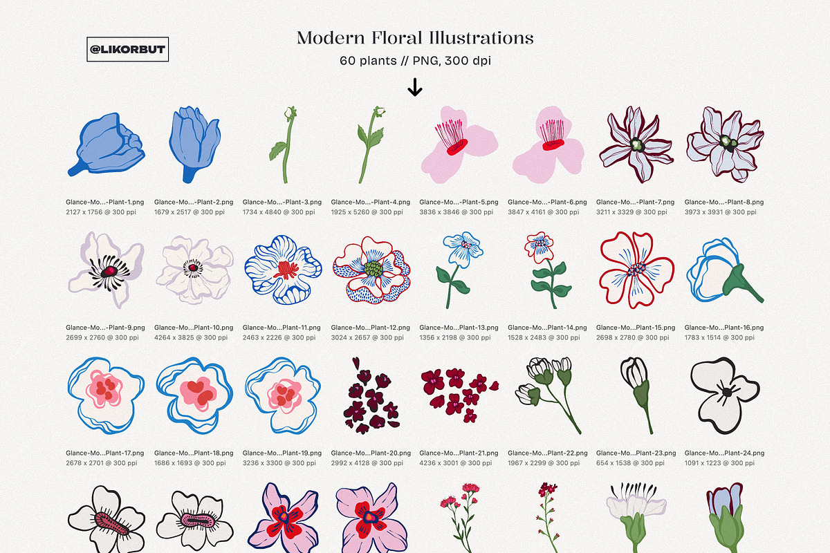 Abstract Modern Flowers Graphics, a Decorative Illustration by likorbut (Photo 10 of 10)