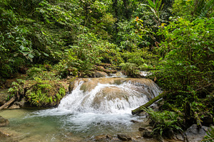 Small river and waterfall in Tentena rainforest, Sulawesi, Indon, a Nature Photo by GoodGoods