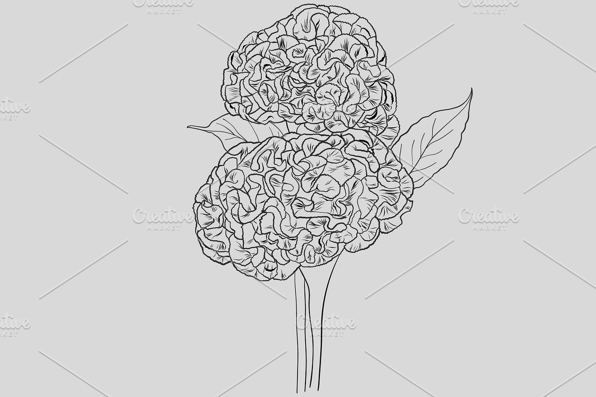Oriental garden, an Object Graphic by VictoriaKStudio (Photo 7 of 7)