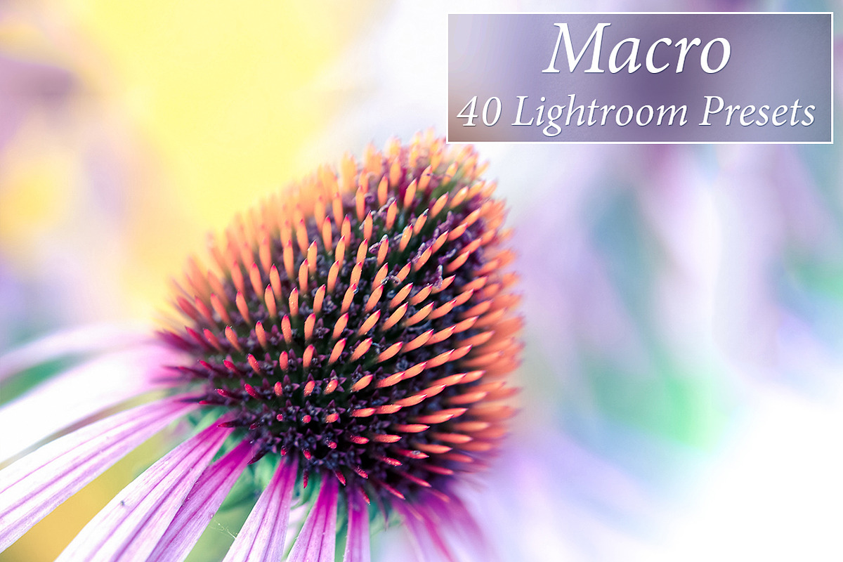 40 Macro Lr Presets