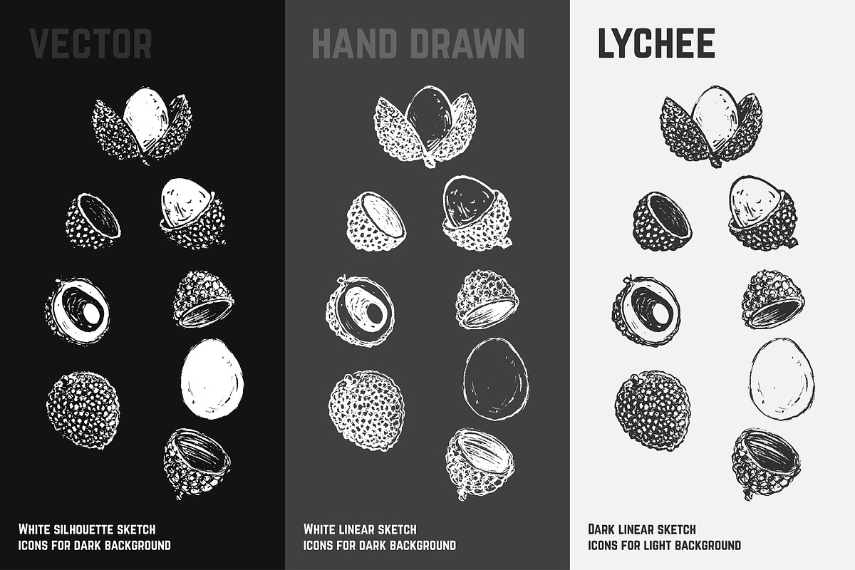 Fruits - hand drawn vector set, a Food Illustration by Margo Miller (Photo 20 of 25)