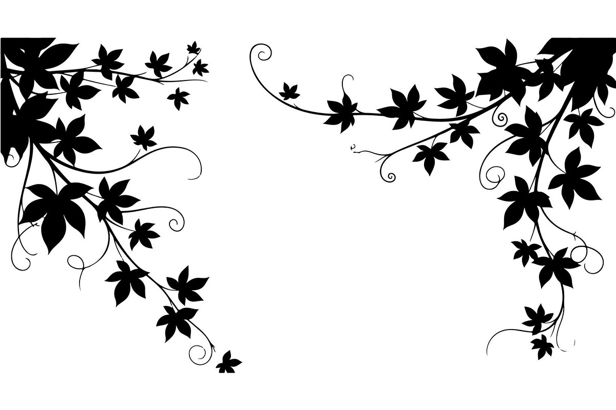 Hanging Vines Silhouette, an Object Graphic by Creativeshirt (Photo 17 of 20)