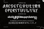 Handley, a Handwritten Font by FreshTypeINK (Thumbnail 7 of 8)