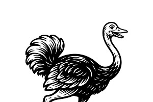 Energetic ostrich running., an Animal Illustration by yod67