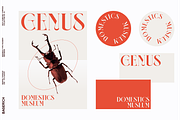 NEIMA, a Serif Font by Bagerich Type Foundry (Thumbnail 15 of 15)
