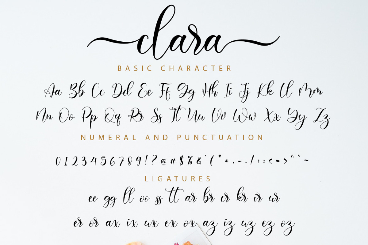 Clara Script, a Script Font by Nissa Studio (Photo 11 of 12)