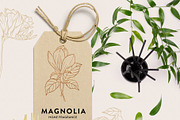 Fragrance Botanicals | 30 designs, an Illustration by amber&ink (Thumbnail 5 of 8)