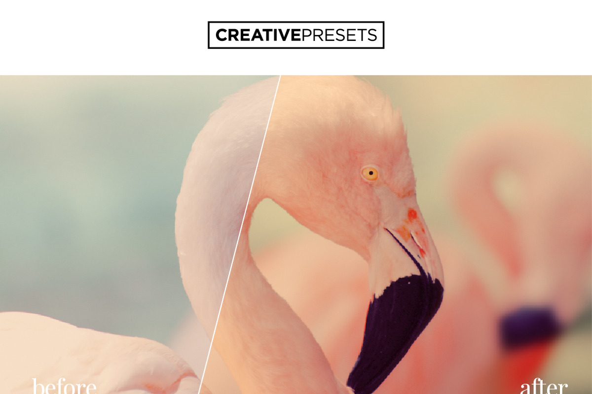 Pastel Tones Lightroom Presets preview 6