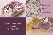 The Sweet Font Bundle, a Script Font by Beck McCormick (Thumbnail 8 of 8)