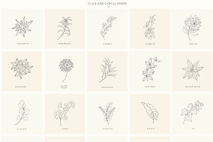 Birth-Flowers. Trendy Plants, Logos