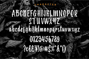 Subaraya Script, a Script Font by 24Design Studios (Thumbnail 6 of 8)