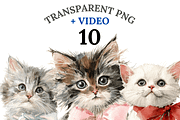 10 Cat Clipart, an Animal Illustration by Pati Charm Studio (Thumbnail 1 of 8)