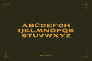 Wide West | A Hand Lettered Typeface, a Handwritten Font by Wildline.Co (Thumbnail 2 of 5)