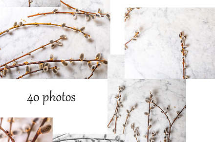 Willow on marble background pack, a Nature Photo by Alinadanilova