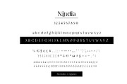 Nindia Font, a Serif Font by Phoenix Dungeon (Thumbnail 8 of 9)