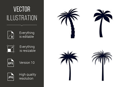 Tropical Palm Trees, a Graphic by DvargShop